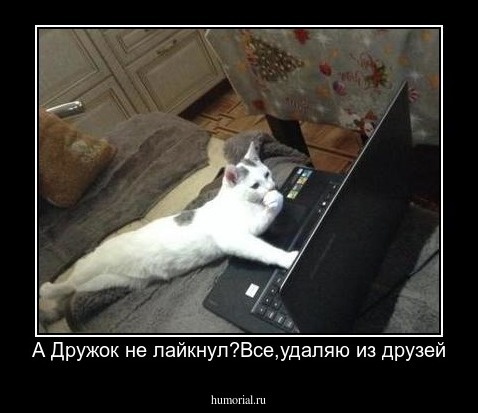 А Дружок не лайкнул?Все,удаляю из друзей