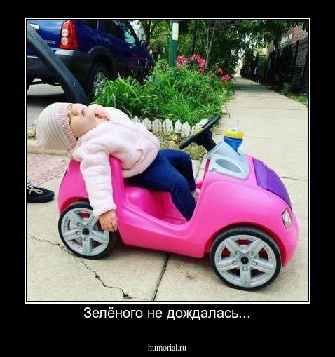 Зелёного не дождалась...