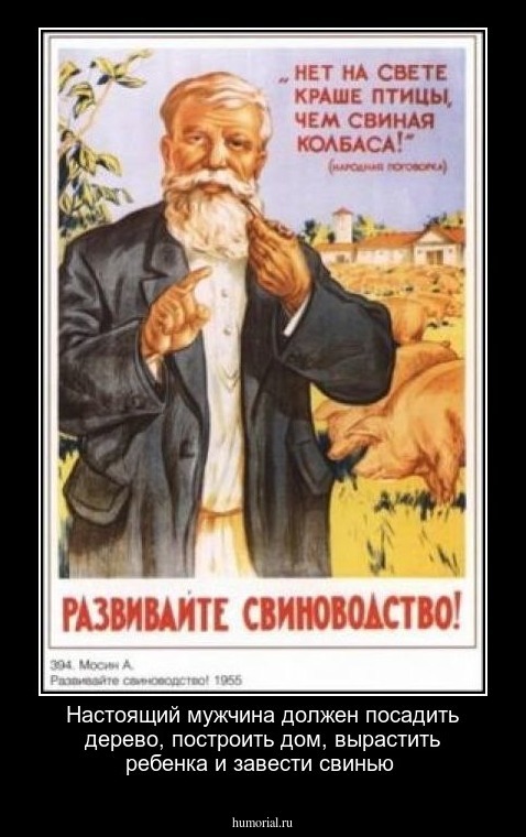 Настоящий мужчина должен посадить дерево, построить дом, вырастить ребенка и завести свинью