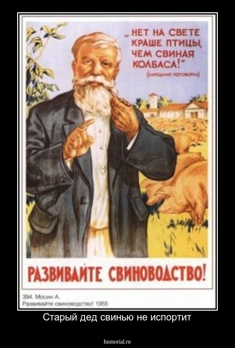 Старый дед свинью не испортит