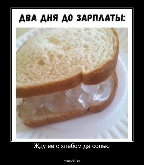 Жду ее с хлебом да солью