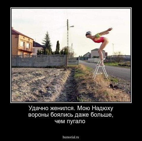 Удачно женился. Мою Надюху вороны боялись даже больше, чем пугало 