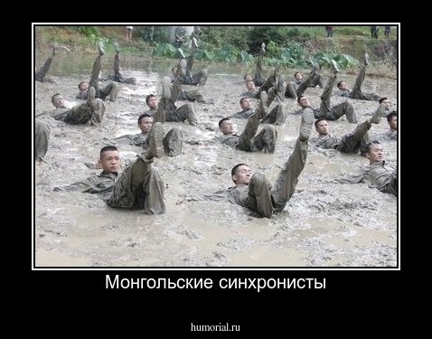 Монгольские синхронисты