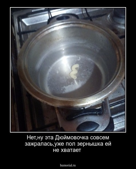 Нет,ну эта Дюймовочка совсем зажралась,уже пол зернышка ей не хватает