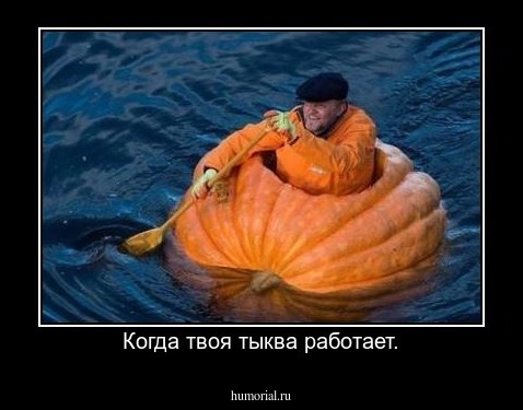Когда твоя тыква работает.