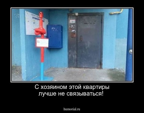 С  хозяином этой квартиры лучше не связываться!