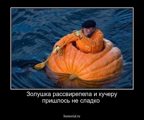 Золушка рассвирепела и кучеру пришлось не сладко