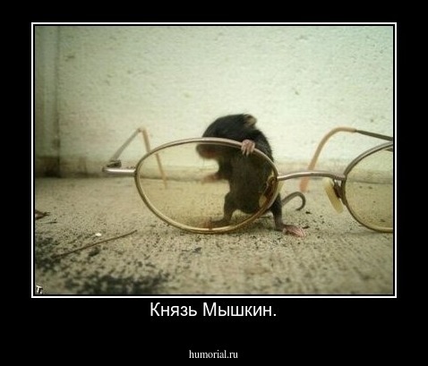 Князь Мышкин.