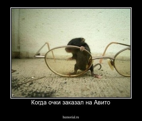 Когда очки заказал на Авито