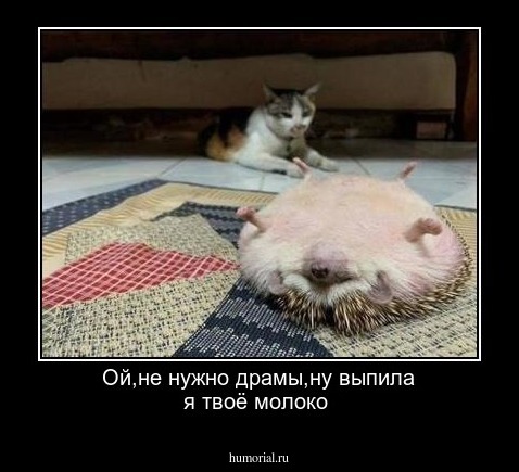 Ой,не нужно драмы,ну выпила я твоё молоко