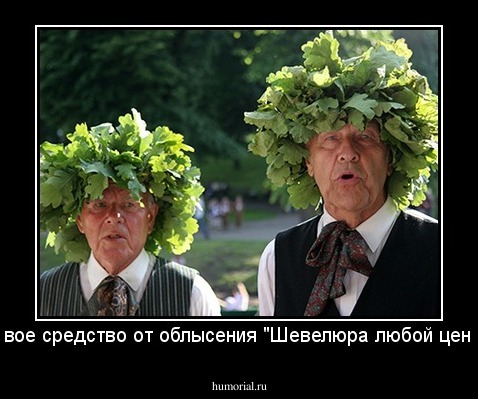 Новое средство от облысения "Шевелюра любой ценой"