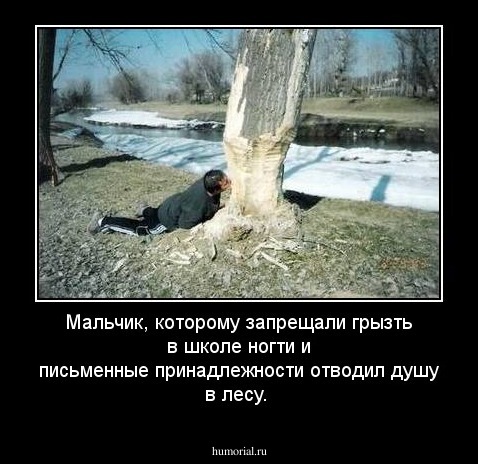 Мальчик, которому запрещали грызть в школе ногти и письменные принадлежности отводил душу в лесу. 