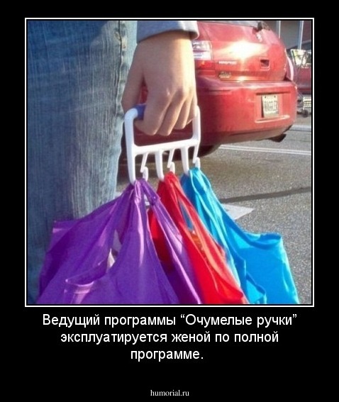 Ведущий программы “Очумелые ручки” эксплуатируется женой по полной программе.