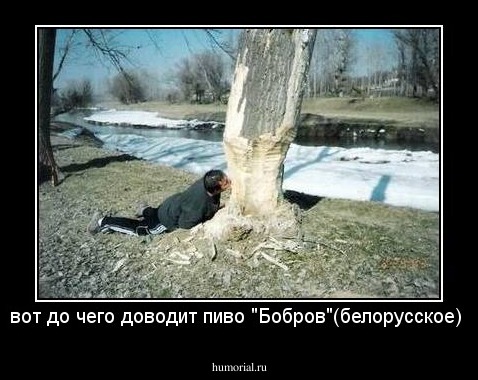 вот до чего доводит пиво "Бобров"(белорусское) 