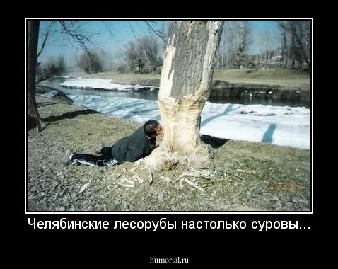 Челябинские лесорубы настолько суровы...