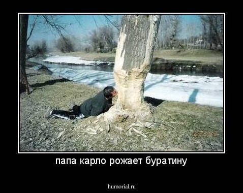 папа карло рожает буратину