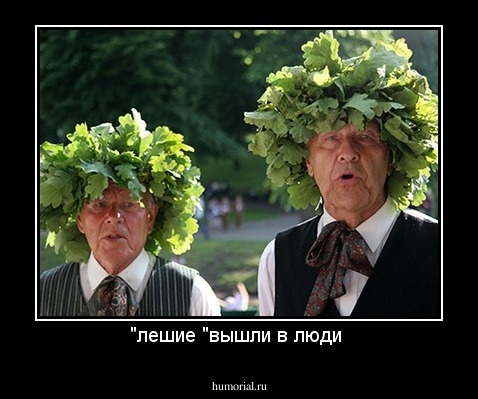 "лешие "вышли в люди 