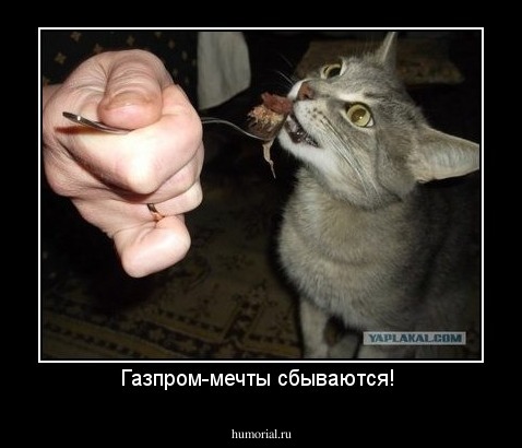 Газпром-мечты сбываются! 