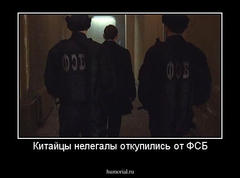 Китайцы нелегалы откупились от ФСБ