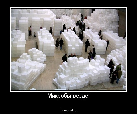 Микробы везде!