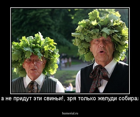 -да не придут эти свиньи!, зря только желуди собирали!