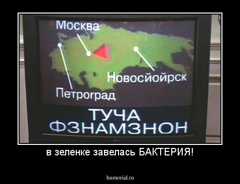 в зеленке завелась БАКТЕРИЯ!