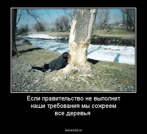 Если правительство не выполнит наши требования мы сожреем все деревья