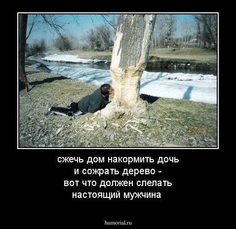 сжечь дом
накормить дочь
и сожрать дерево - вот что должен слелать настоящий мужчина