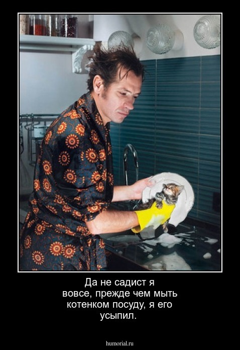 Да не садист я вовсе, прежде чем мыть котенком посуду, я его усыпил.