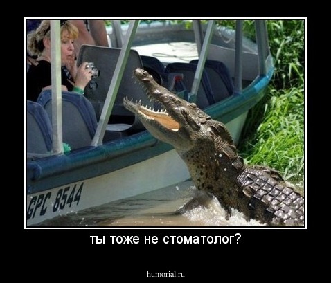ты тоже не стоматолог?