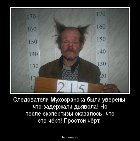Следователи Мухосранска были уверены, что задержали дьявола! Но после экспертизы оказалось, что это чёрт! Простой чёрт.