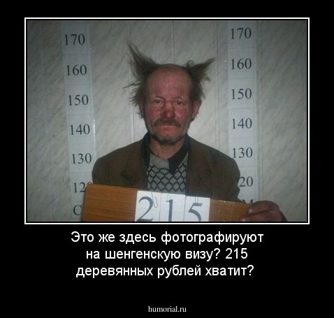 Это же здесь фотографируют на шенгенскую визу? 215 деревянных рублей хватит?