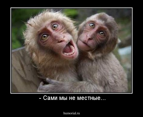  - Сами мы не местные...
