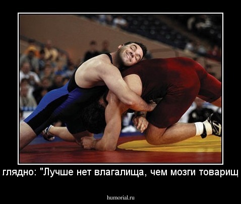 Наглядно: "Лучше нет влагалища, чем мозги товарища."