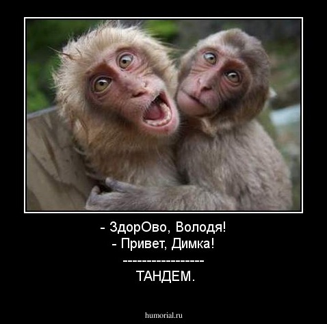 - ЗдорОво, Володя!
- Привет, Димка!
-----------------
 ТАНДЕМ.