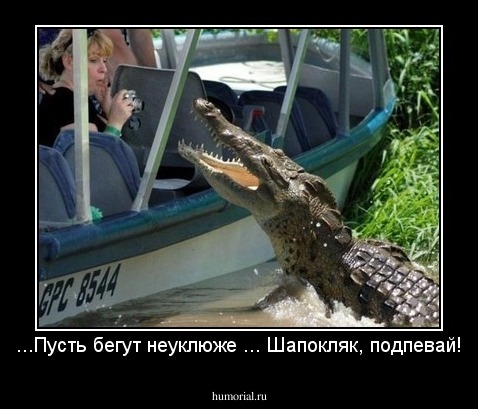 ...Пусть бегут неуклюже ... Шапокляк, подпевай!