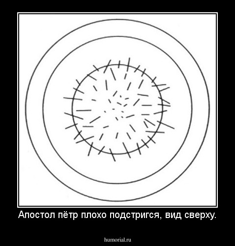 Апостол пётр плохо подстригся, вид сверху.