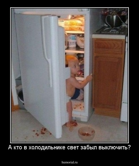 А кто в холодильнике свет забыл выключить?