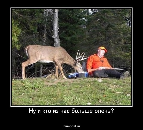 Ну и кто из нас больше олень?