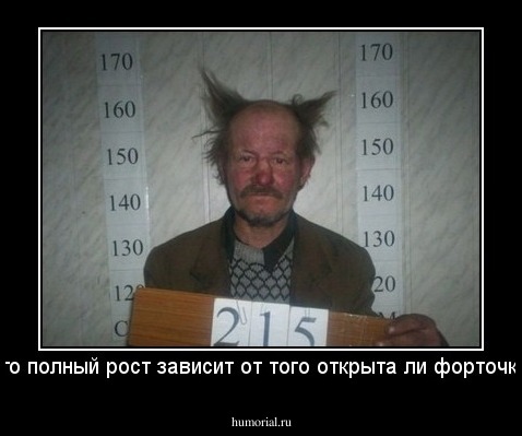 Его полный рост зависит от того открыта ли форточка.