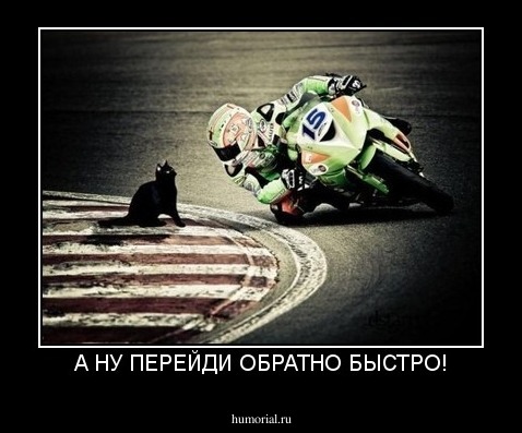 А НУ ПЕРЕЙДИ ОБРАТНО БЫСТРО!