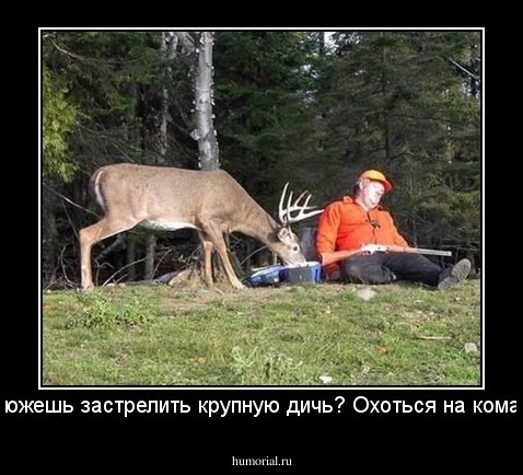 Не можешь застрелить крупную дичь? Охоться на комаров!