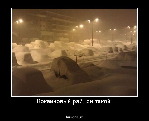 Кокаиновый рай, он такой.