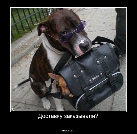 Доставку заказывали?