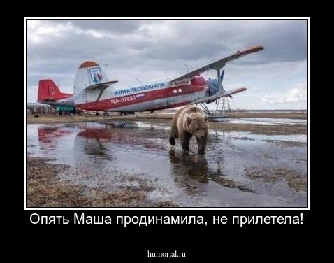 Опять Маша продинамила, не прилетела!