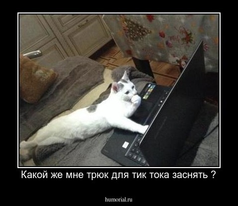 Какой же мне трюк для тик тока заснять ?