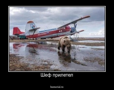 Шеф прилетел