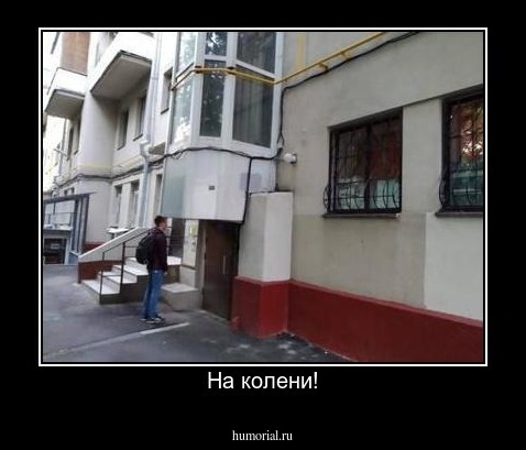 На колени!