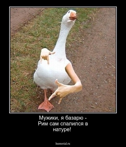 Мужики, я базарю - Рим сам спалился в натуре!