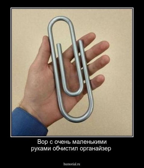 Вор с очень маленькими руками обчистил органайзер